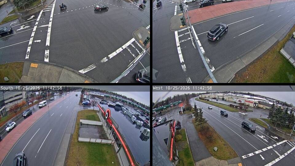Anchorage webcam