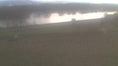 Eltville Webcam Eltville Webcam