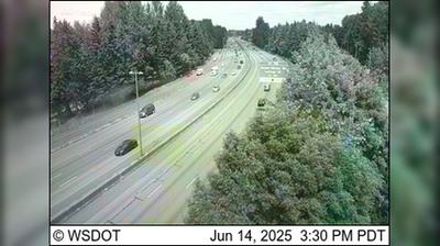 Olympia Traffic and Landscape - Lacey