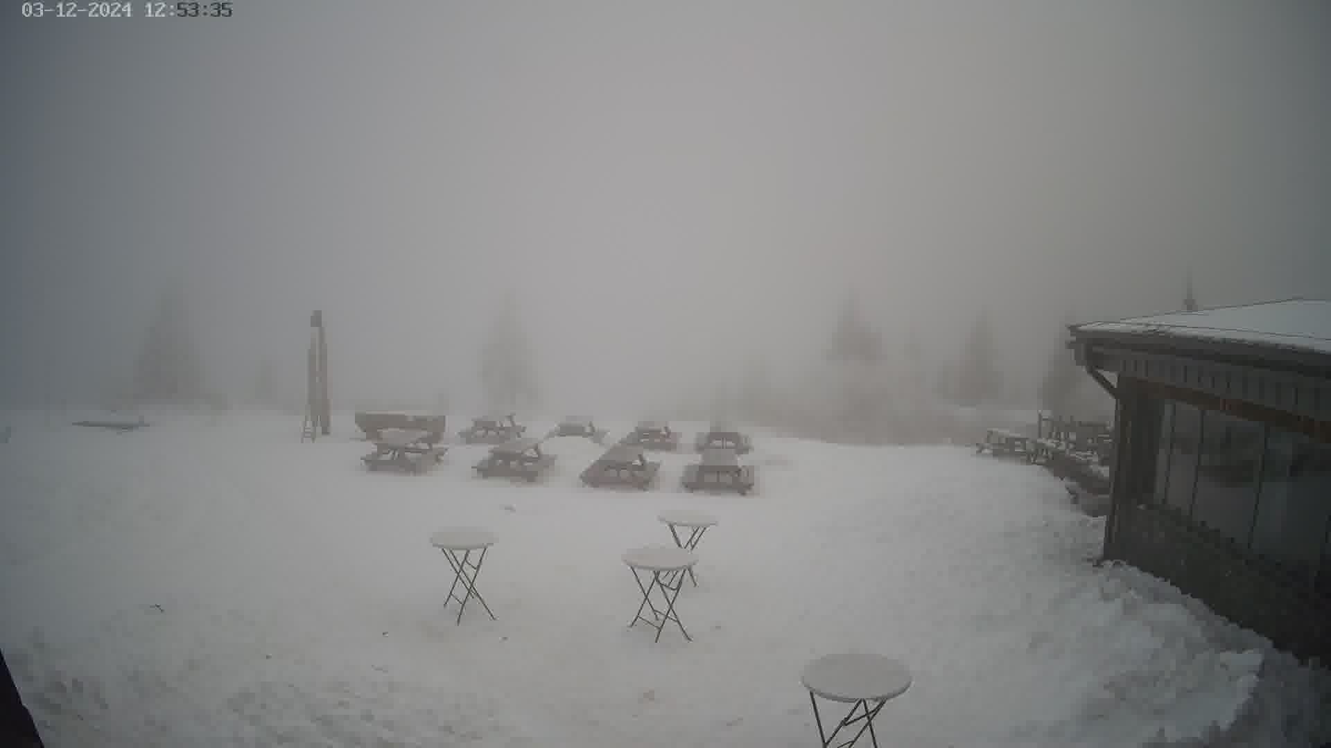 Traffic Cam District of Martin › East: Cottage under Chleb