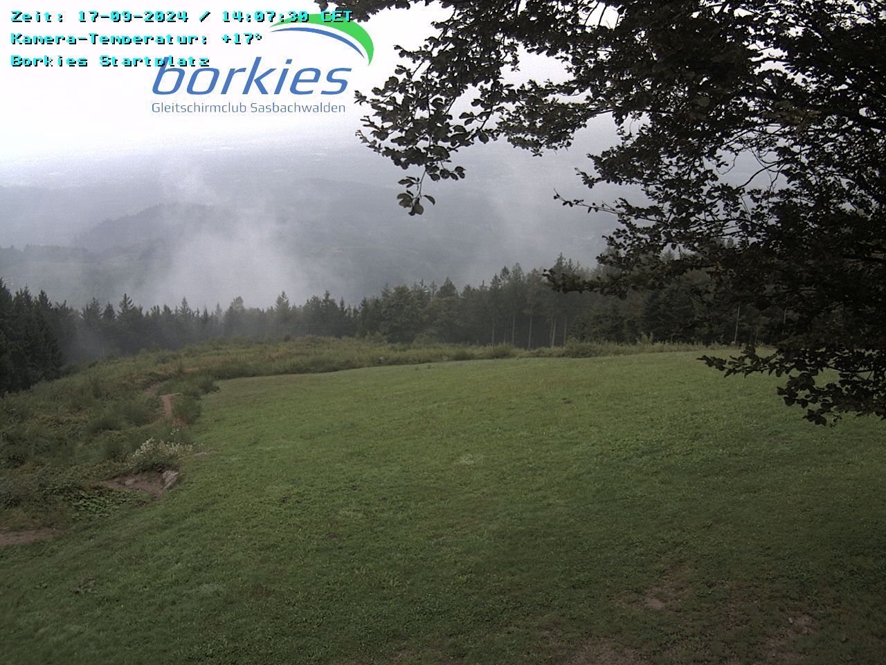 Traffic Cam Sasbachwalden › West: Borkies-Schutzhütte / Startplatz