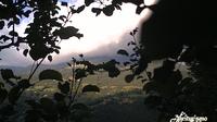 Sestola: Monte Cimone