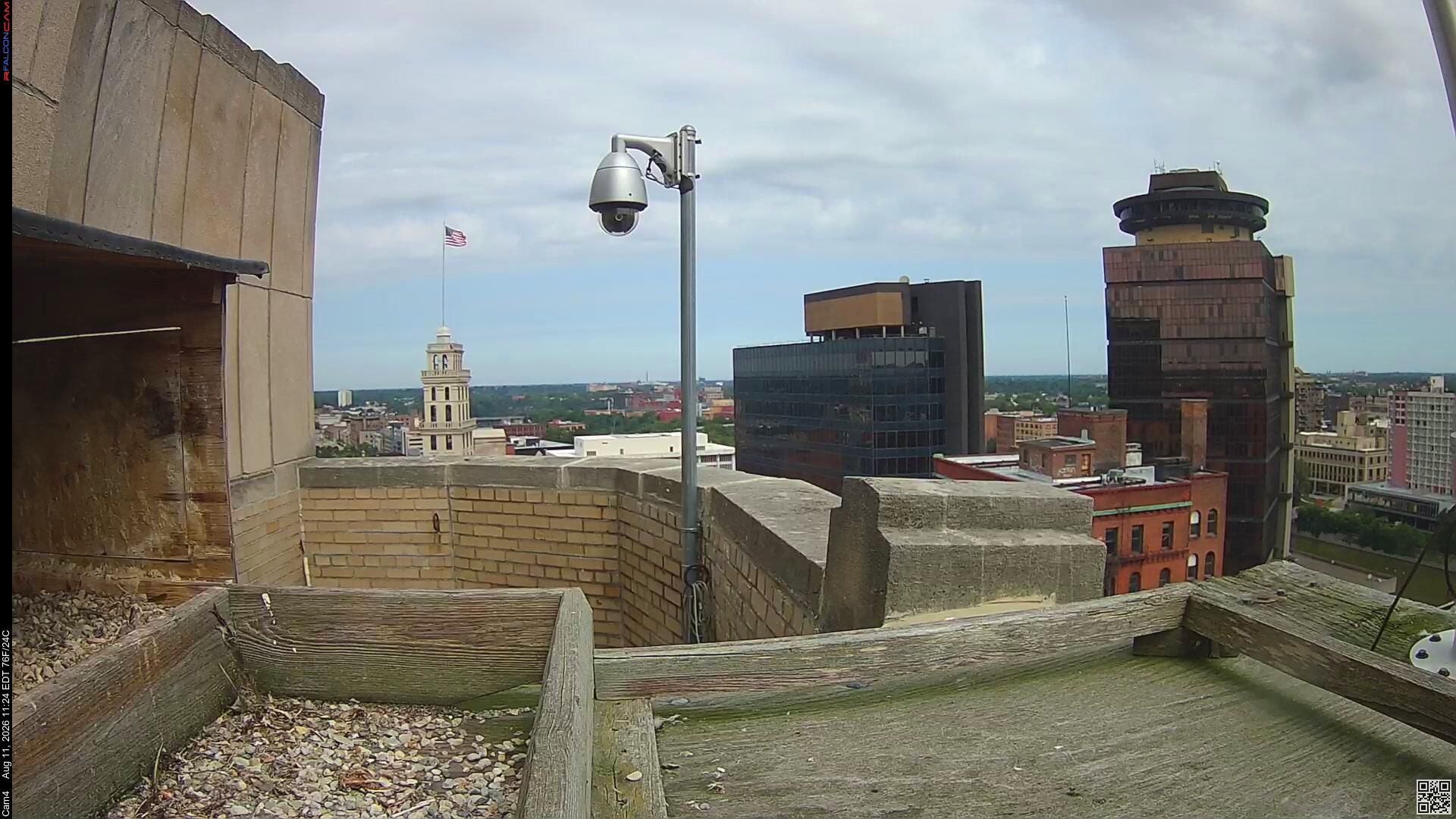 Rochester during daytime
