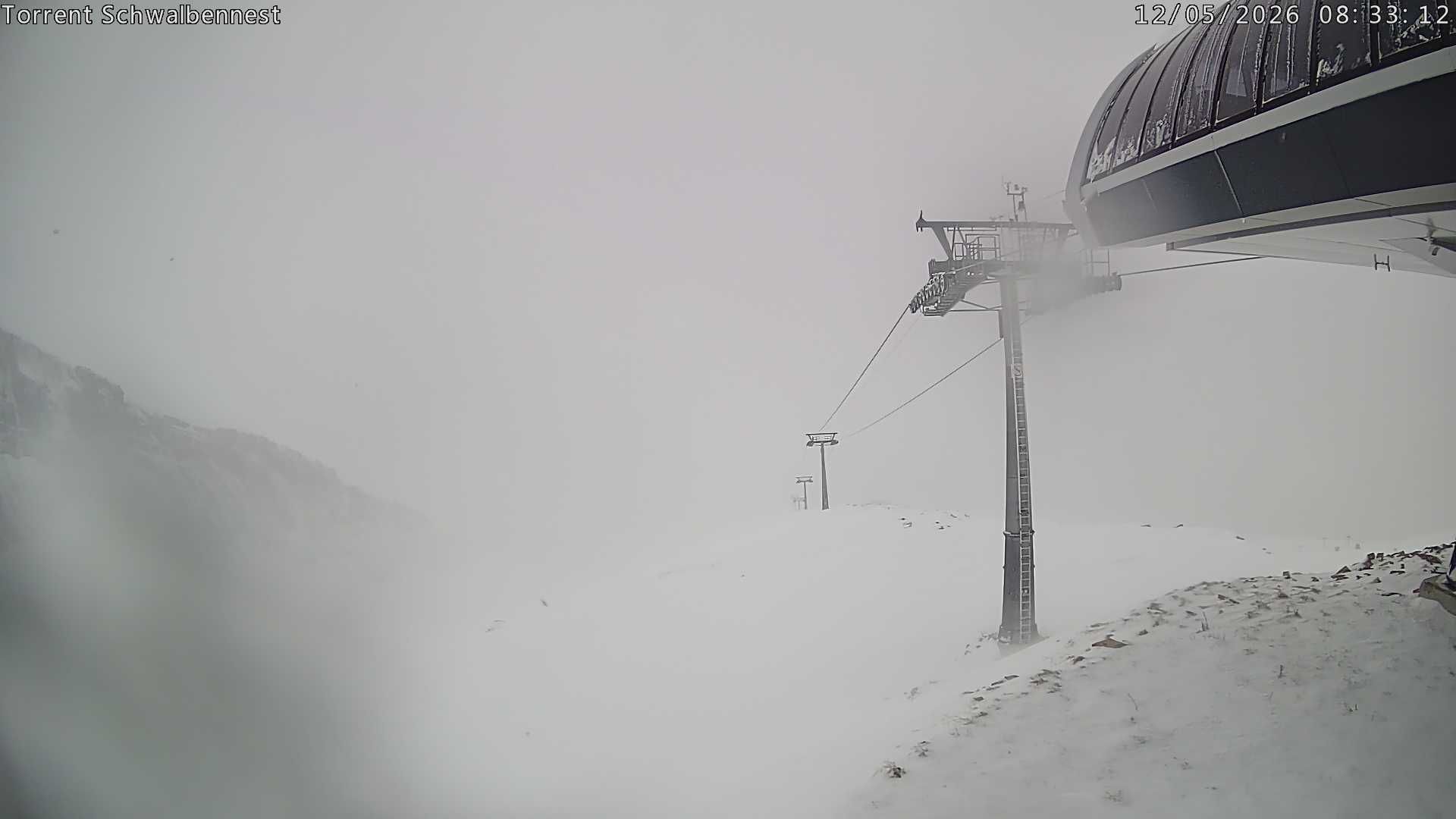 Leukerbad › Südosten: Torrent Schwalbennest