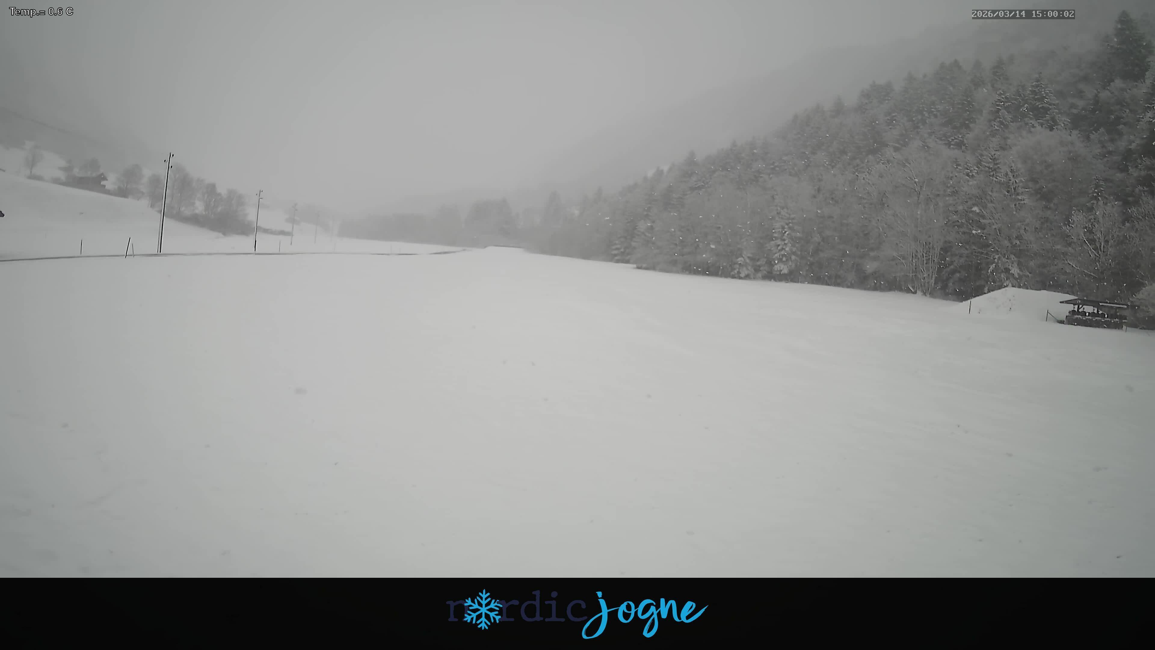 Im Fang › Osten: Fribourg, Suisse