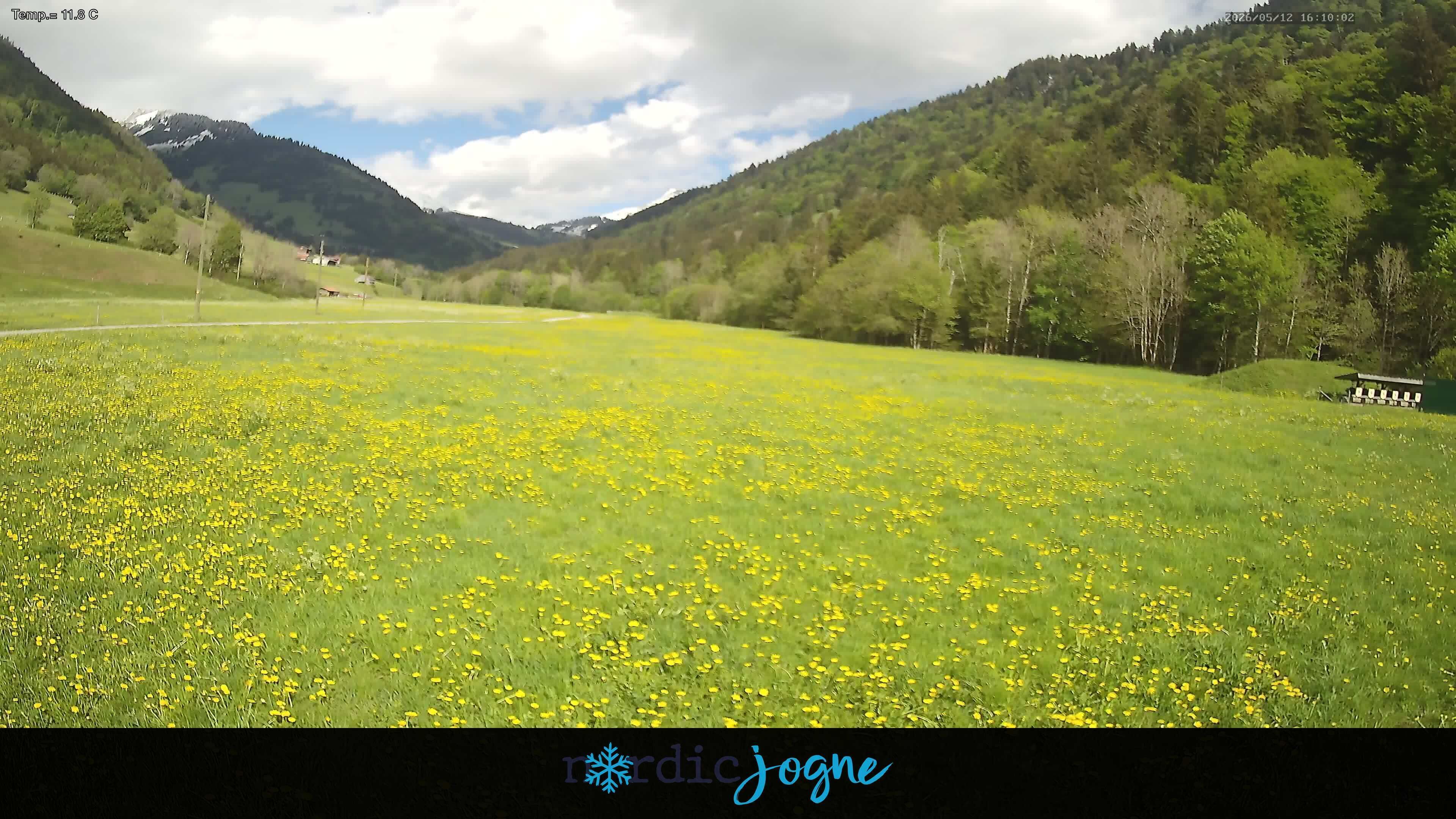 Im Fang › Osten: Fribourg, Suisse