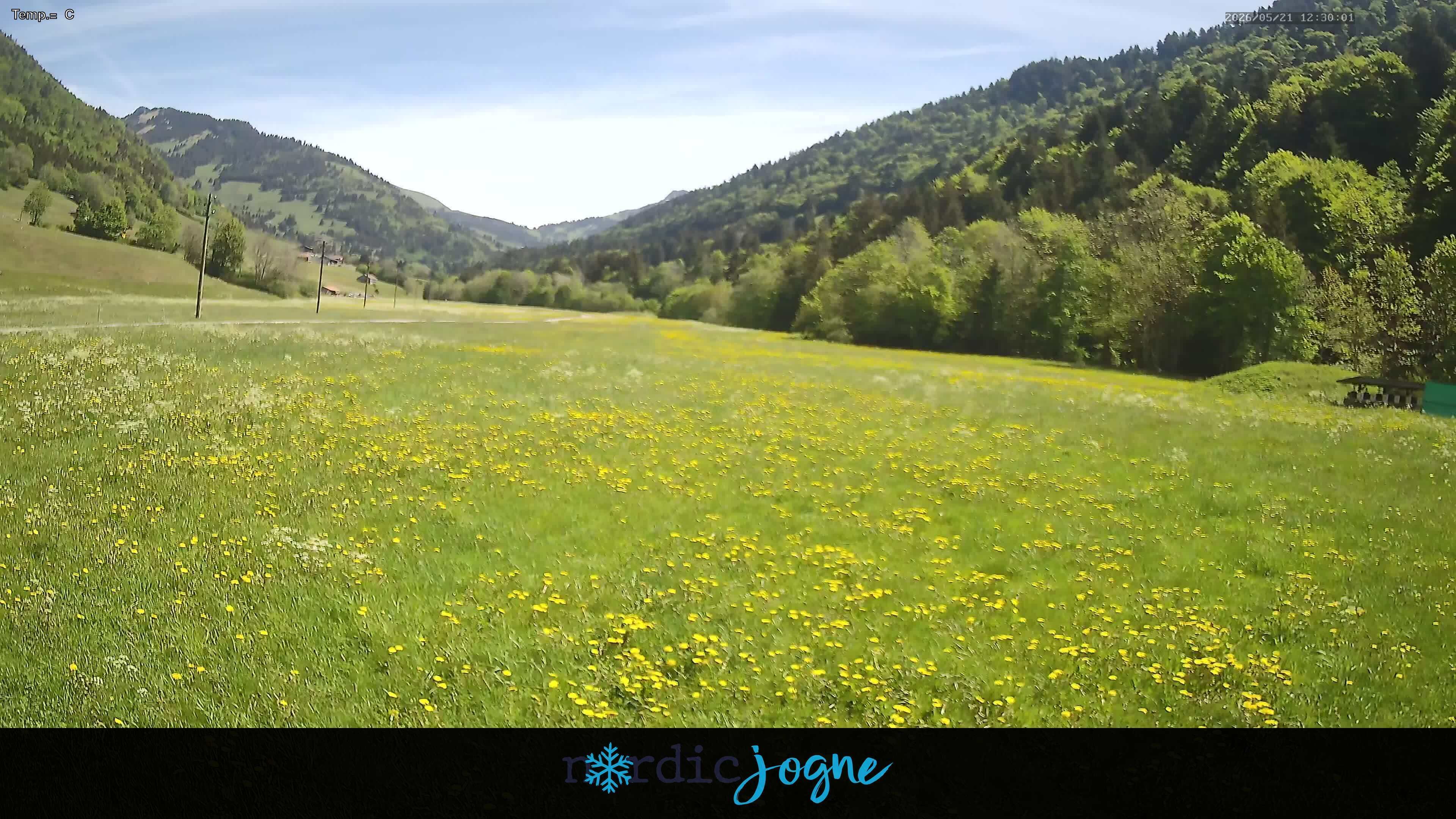 Im Fang › Osten: Fribourg, Suisse