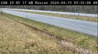 Roscoe > West: NY 17 at Count Station - Current