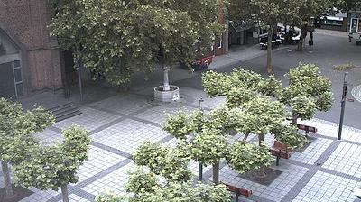 Allrath webcam