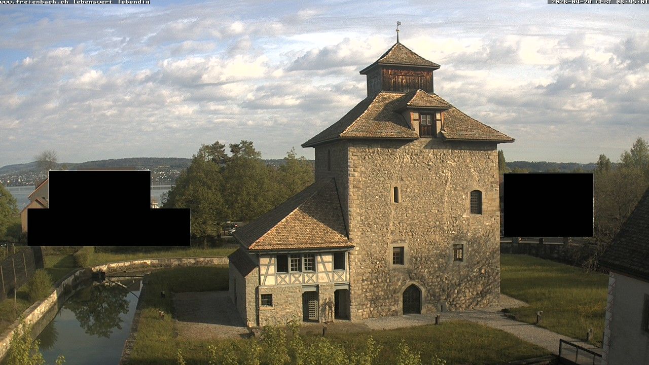 Pfäffikon: Château - Schlossturm - SZ, Freienbach
