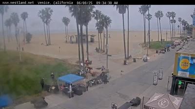 Venice Beach Coastal