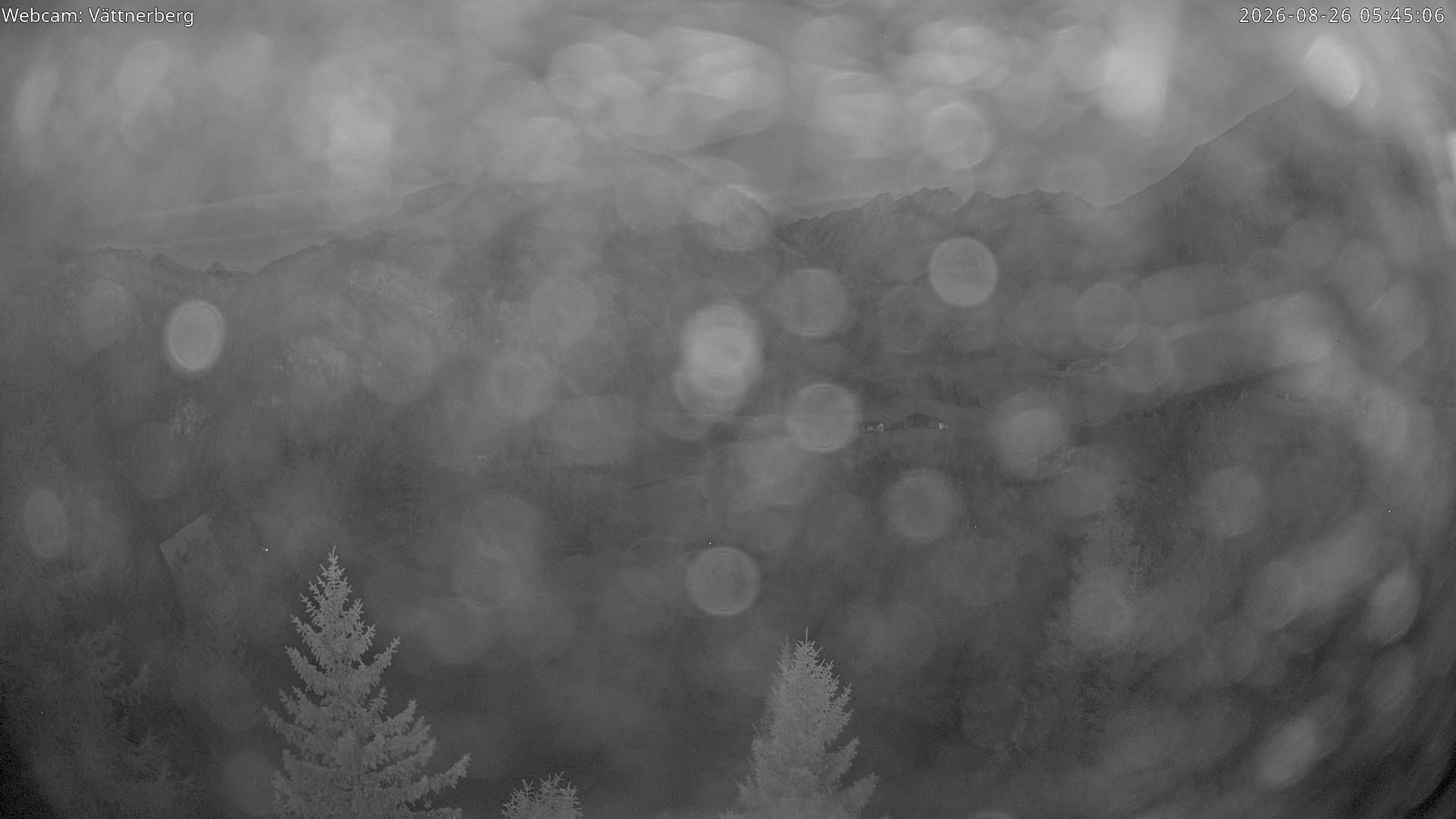 Vättis › Westen: Bergstation Vättnerberg - Zanaihorn