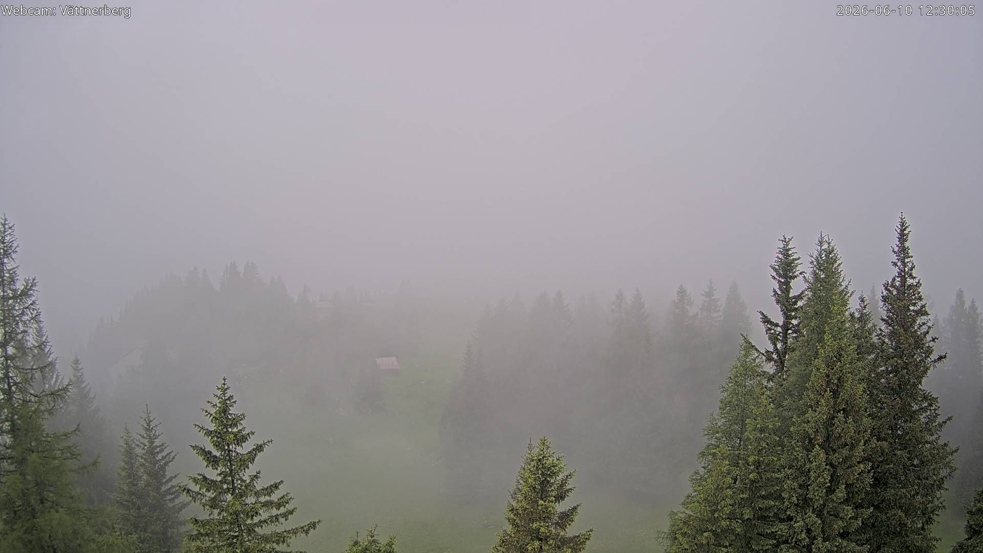 Vättis