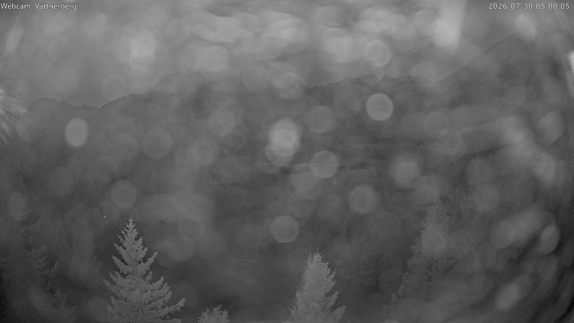 Vättis › Westen: Bergstation Vättnerberg - Zanaihorn
