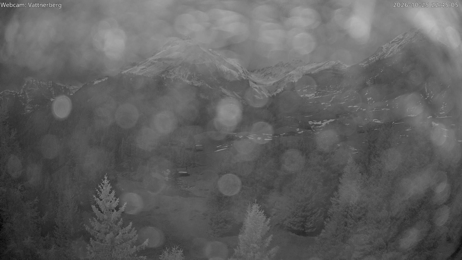 Vättis › Westen: Bergstation Vättnerberg - Zanaihorn