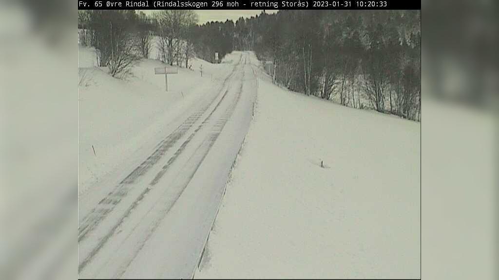 Storas: F65 Øvre Rindal (Rindalsskogen)