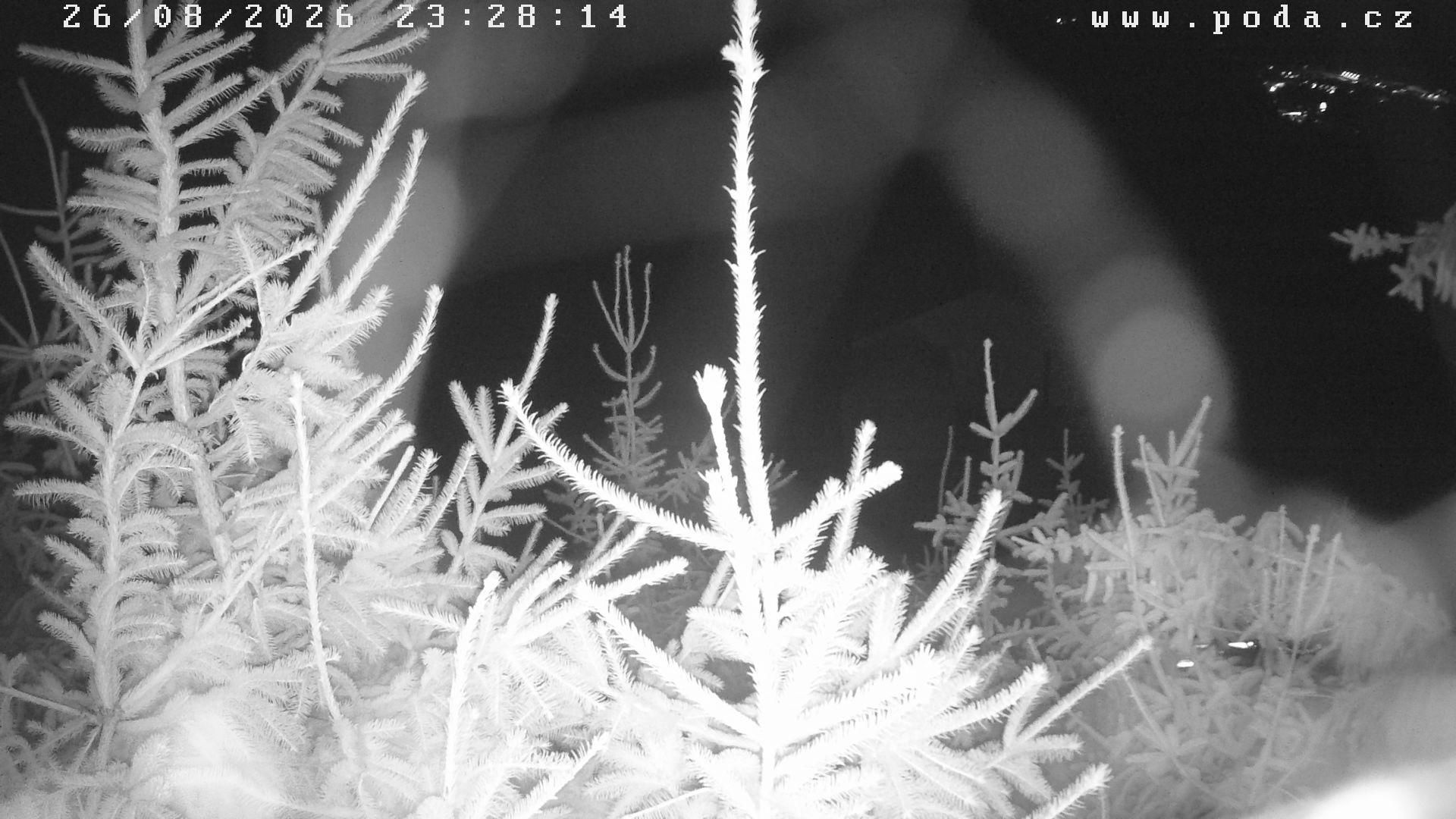 Traffic Cam Velke Mezirici › South-East: Ski Klub