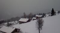 Mitterfirmiansreut › East: Bayerischer Wald