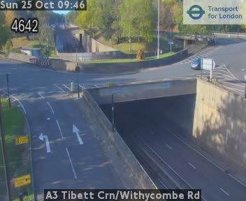 Wimbledon Park webcam