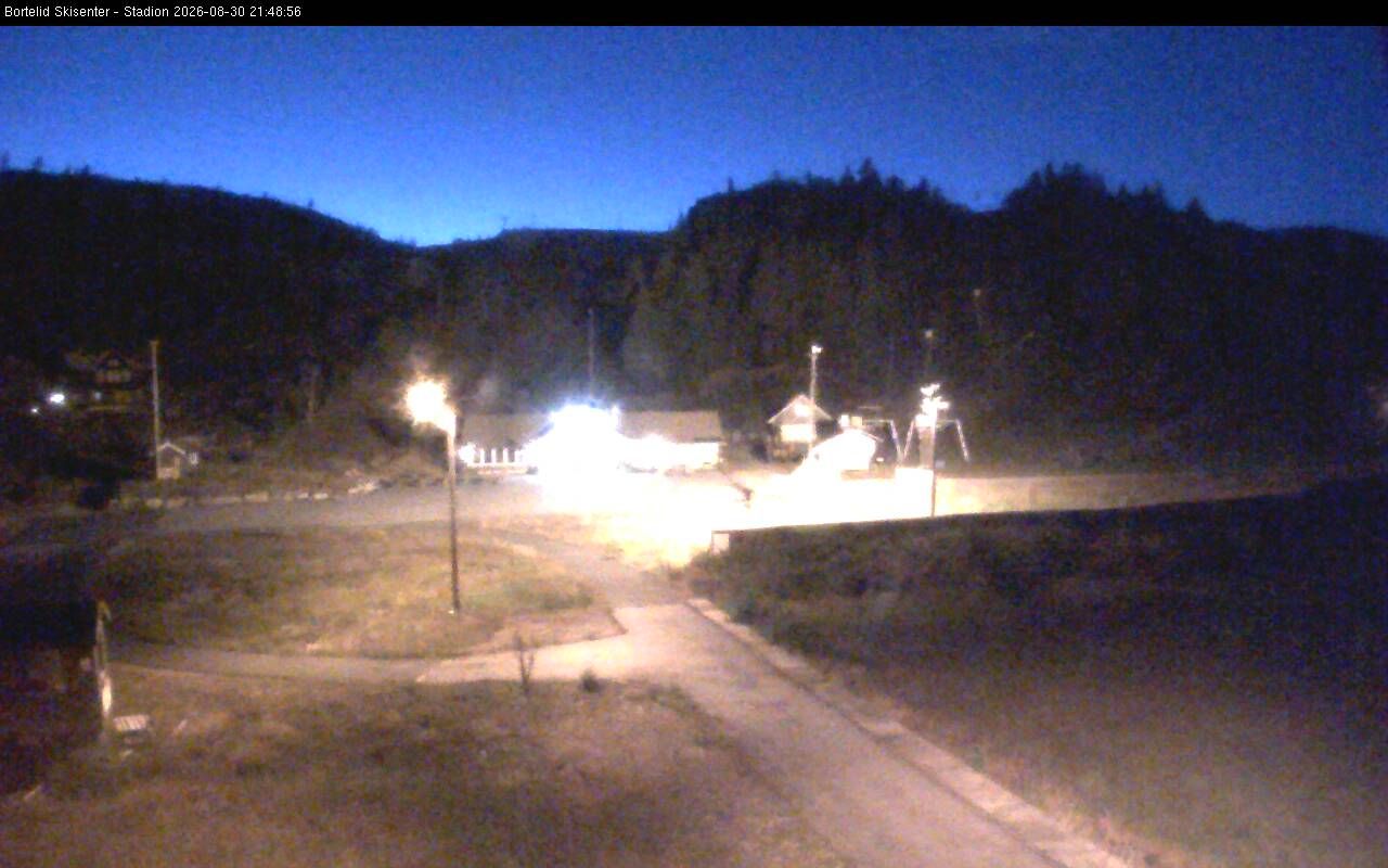 Traffic Cam Bortelid: Vest