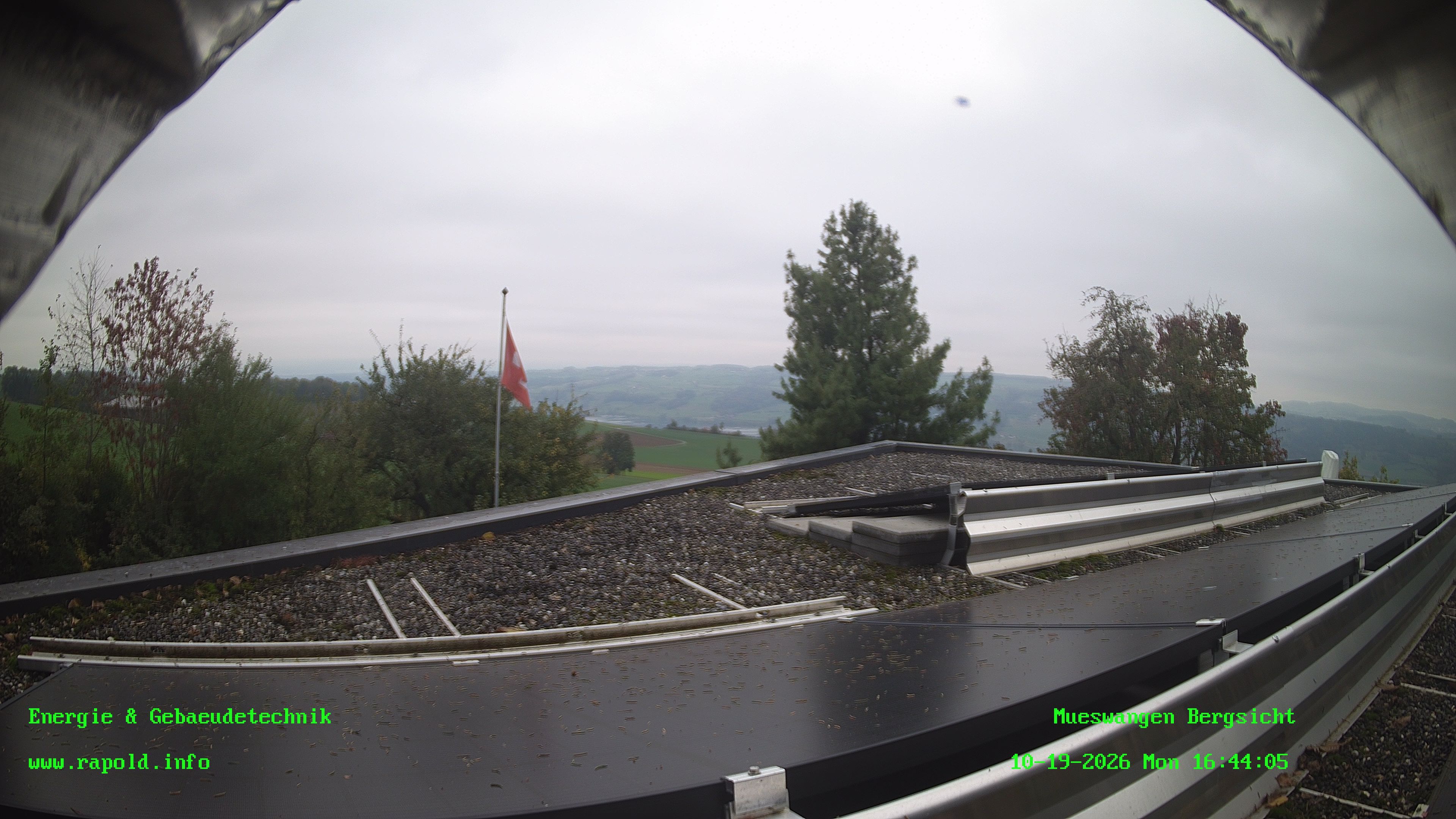 Müswangen › Süden: Jungfrau