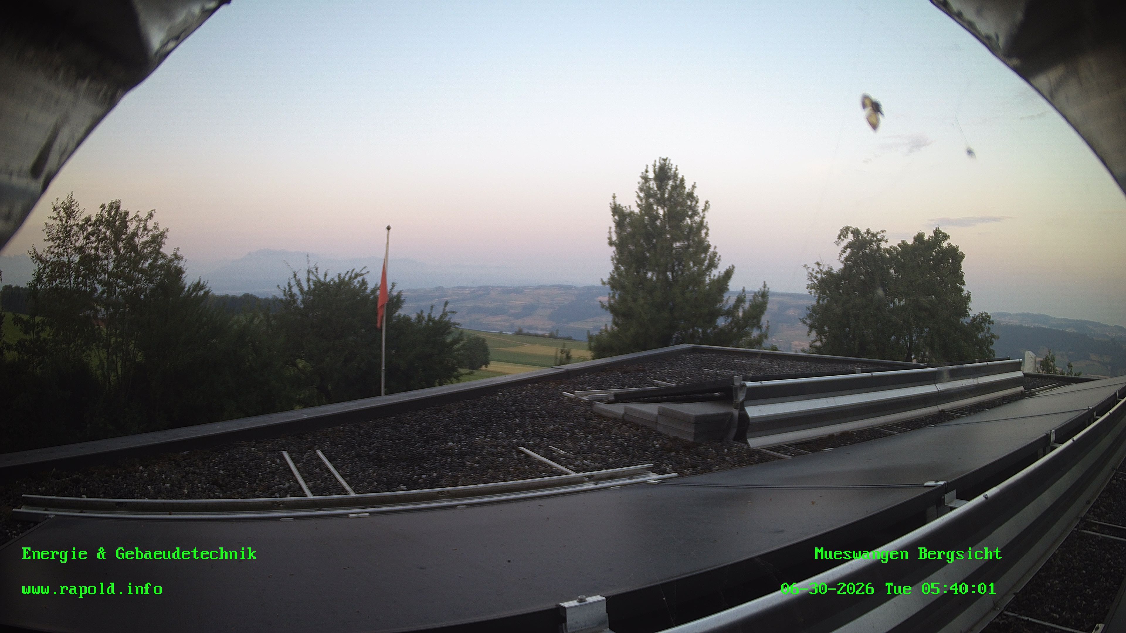 Müswangen › Süden: Jungfrau