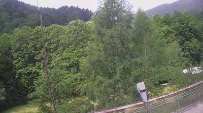 Balkan Beauty: Forest and Mountains