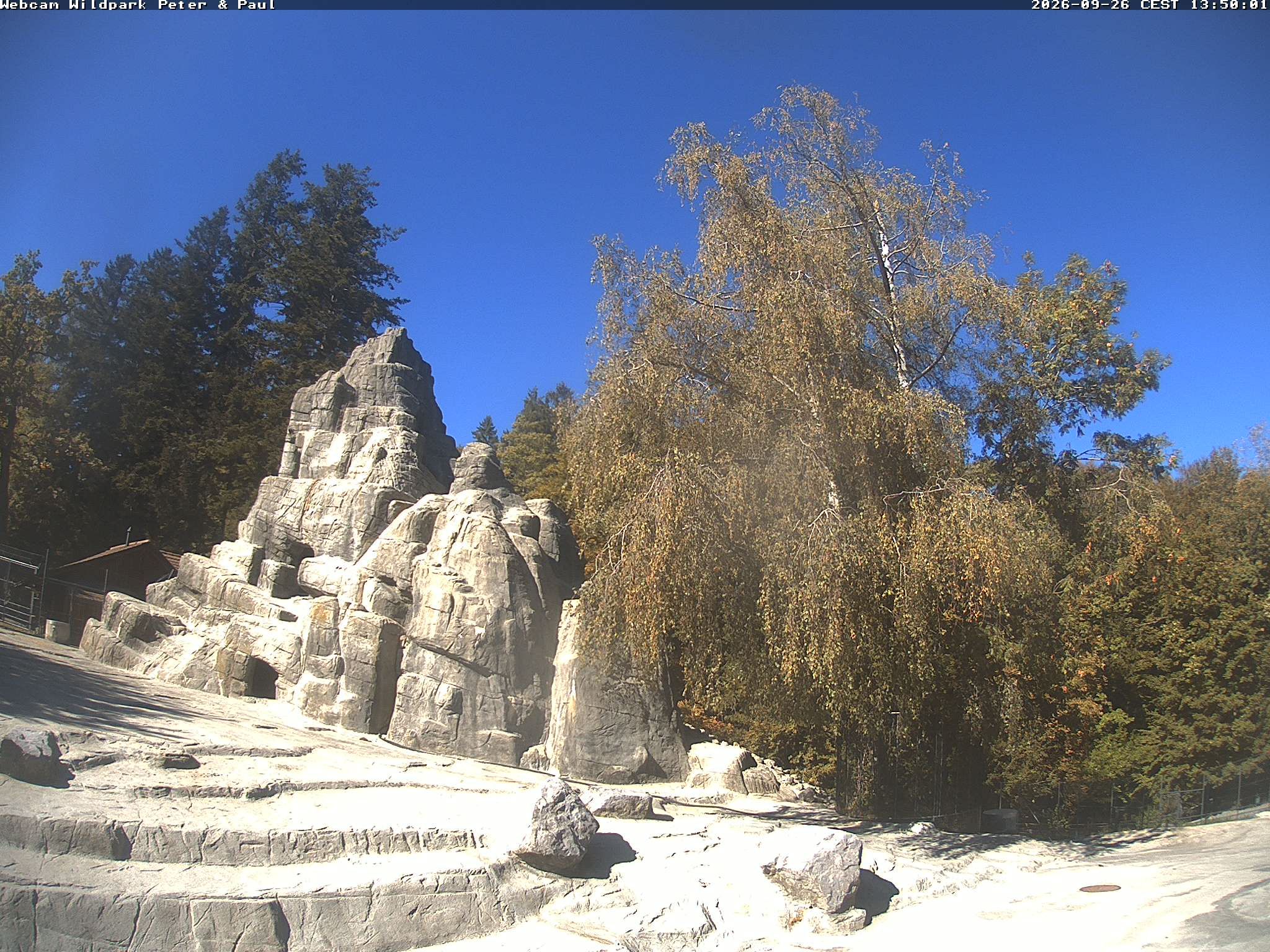 Sankt Gallen › Westen: Wildpark Peter und Paul