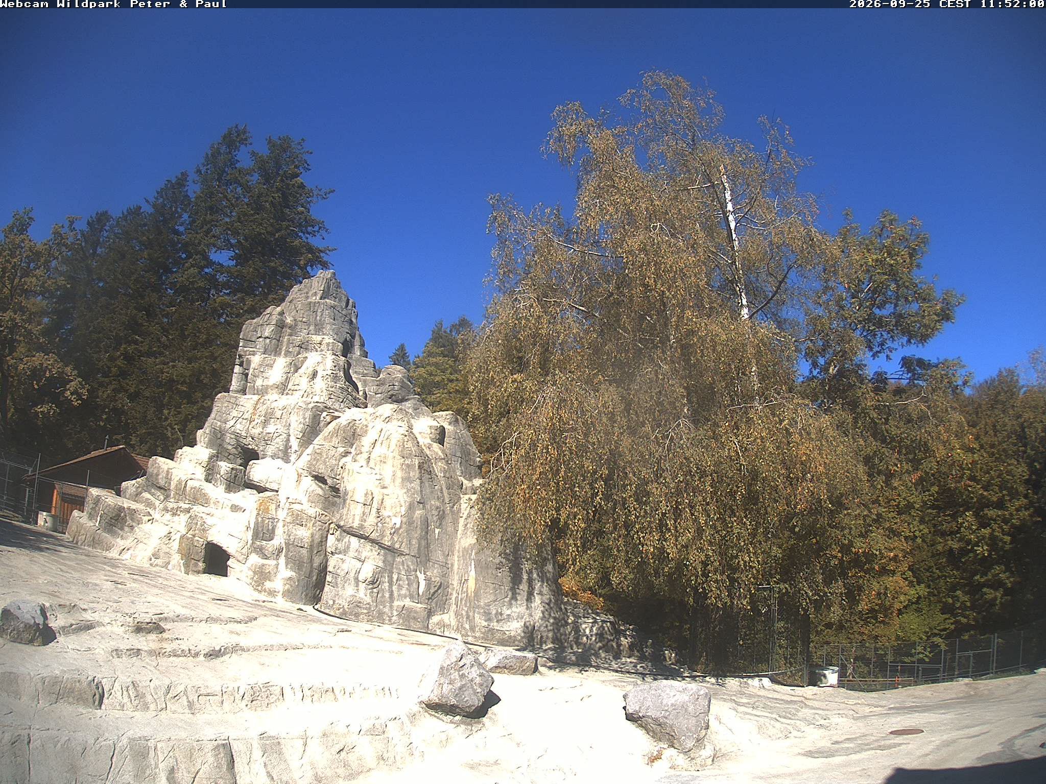 Sankt Gallen › Westen: Wildpark Peter und Paul