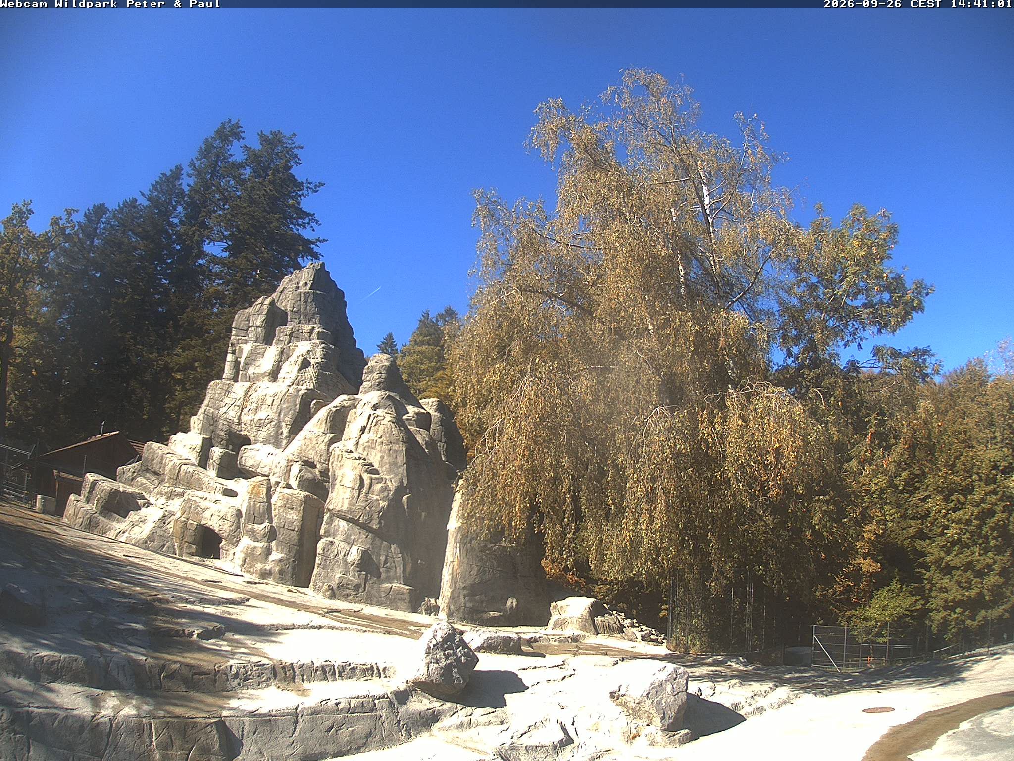 Sankt Gallen › Westen: Wildpark Peter und Paul