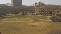 Saskatoon