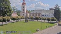 Rokytnice v Orlickych horach: Rokytnici v Orlických horách