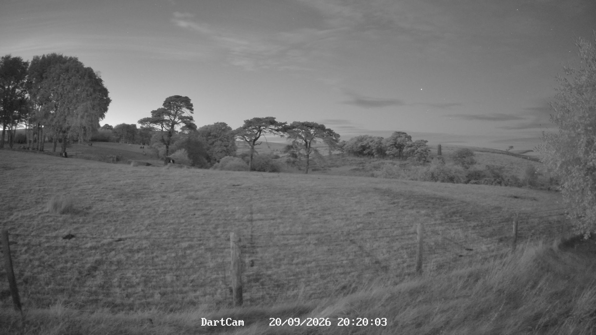 Traffic Cam Postbridge: Dartmoor