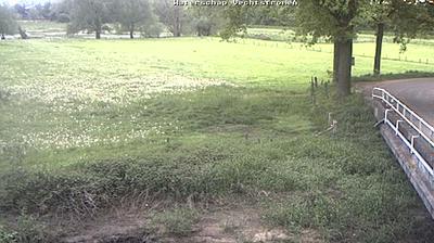 Gambar mini Webcam Enschede pada 3:33, Sep 24
