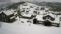 Sinnes: Solheim Fjellgrend