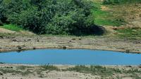 Sundays River Valley Local Municipality: Addo Elephant National Park - Eastern Cape, Republik