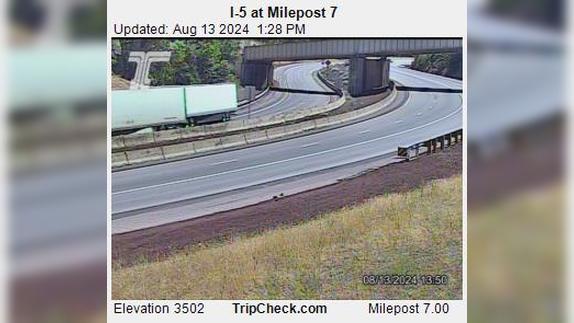 Traffic Cam Drain: I-5 at Milepost