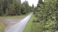 Carlsfeld › North-West: Flössweg