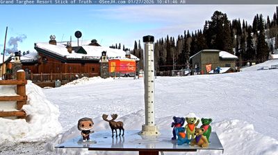Teton: Grand Targhee Snow Stick