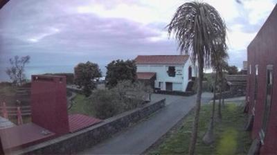 Webcam Cedros