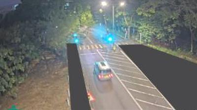 Traffic Cam Tai Po › South-East