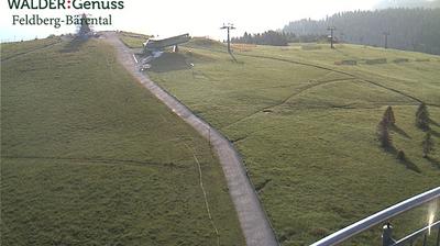 Feldberg: Seebuck Gipfel I - Baden-W