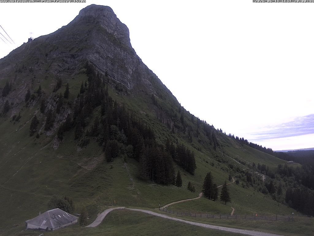 Moléson › Südwesten: Bike Park Moléson - Via Ferrata Moléson