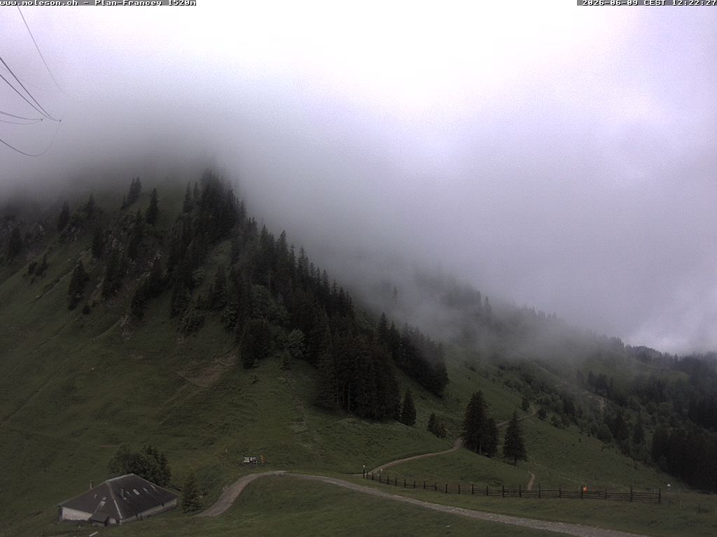 Moléson › Südwesten: Bike Park Moléson - Via Ferrata Moléson