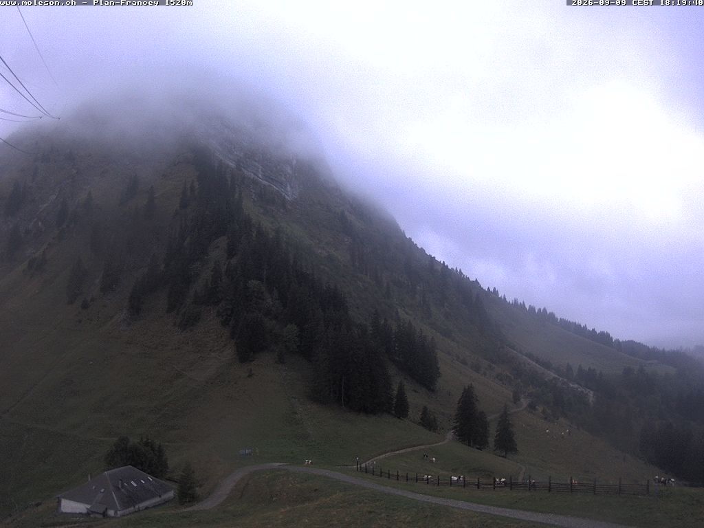Moléson › Südwesten: Bike Park Moléson - Via Ferrata Moléson