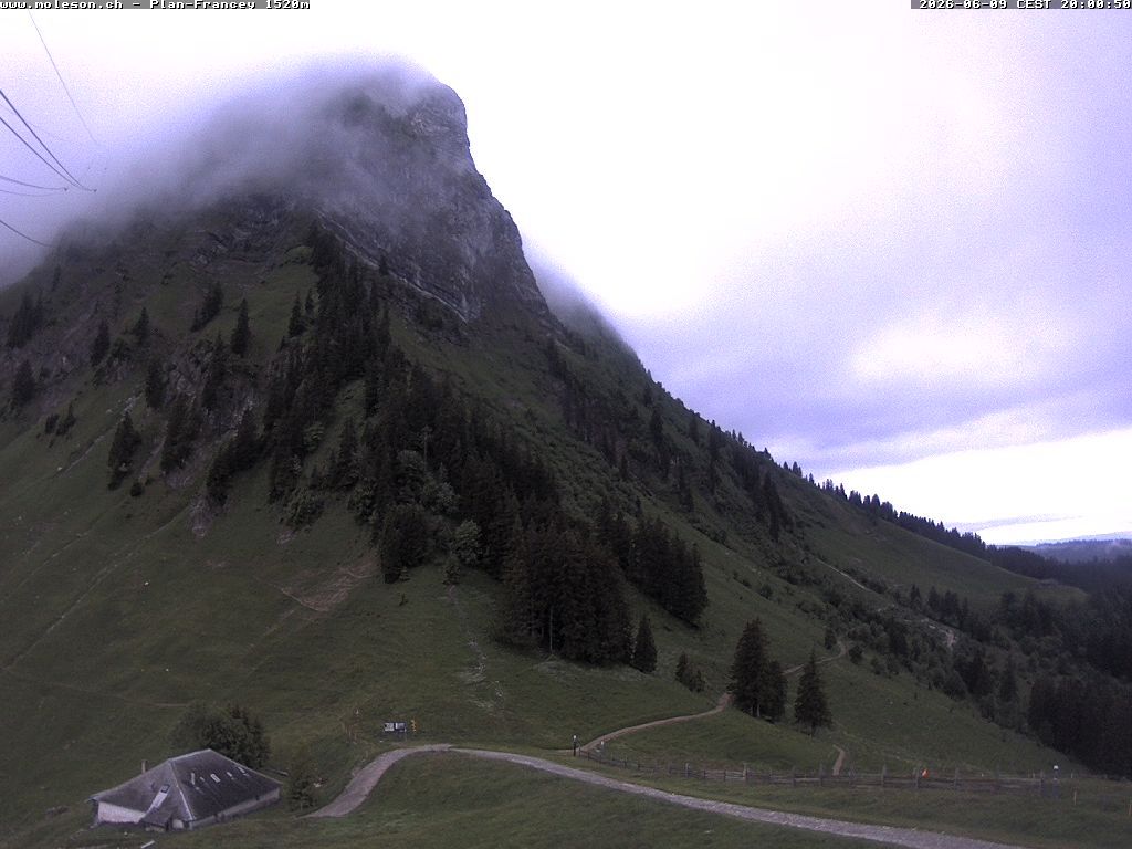 Moléson › Südwesten: Bike Park Moléson - Via Ferrata Moléson