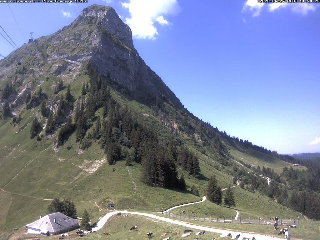Moléson › Südwesten: Bike Park Moléson - Via Ferrata Moléson