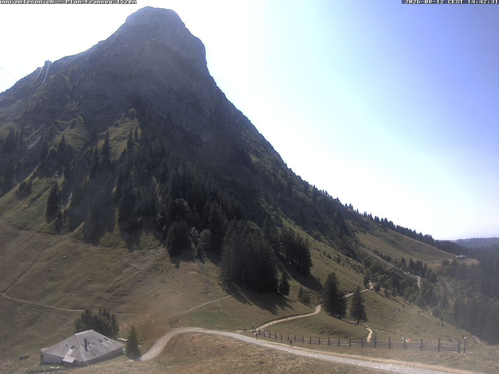 Moléson › Südwesten: Bike Park Moléson - Via Ferrata Moléson