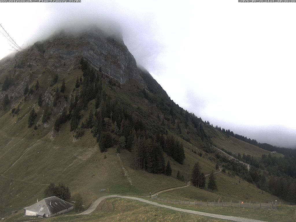 Moléson › Südwesten: Bike Park Moléson - Via Ferrata Moléson