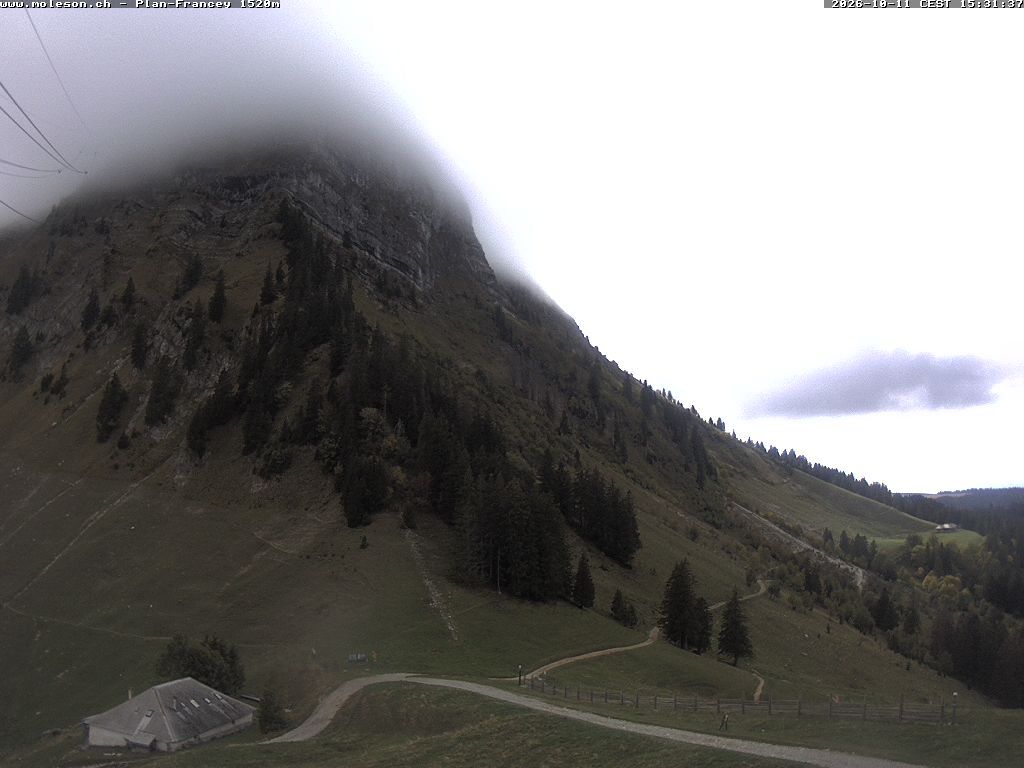 Moléson › Südwesten: Bike Park Moléson - Via Ferrata Moléson